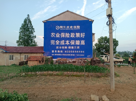 漳平墙体广告为何受追捧？